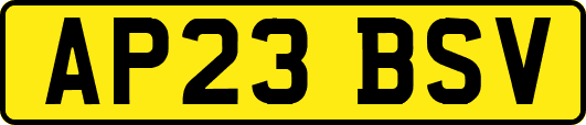 AP23BSV