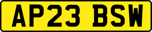 AP23BSW