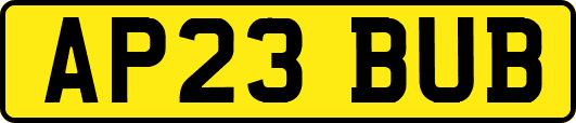 AP23BUB