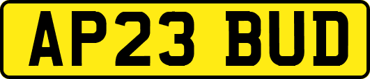 AP23BUD