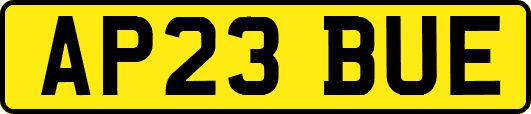 AP23BUE