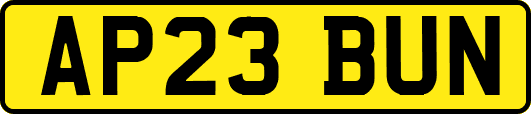 AP23BUN