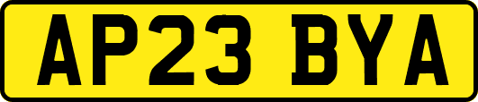 AP23BYA