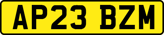 AP23BZM
