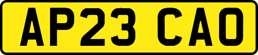 AP23CAO