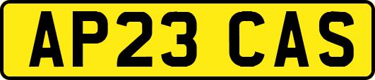 AP23CAS