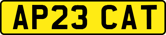 AP23CAT