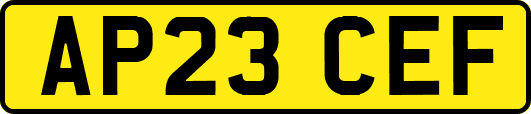 AP23CEF