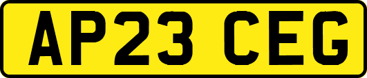 AP23CEG