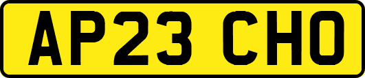 AP23CHO
