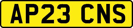 AP23CNS