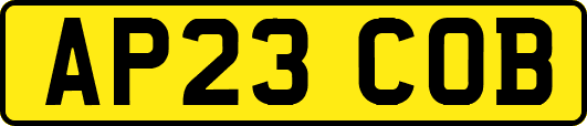 AP23COB