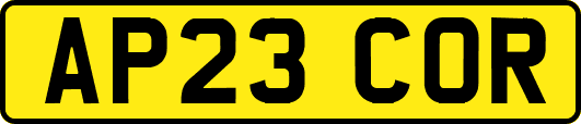 AP23COR