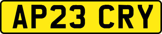 AP23CRY