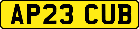 AP23CUB