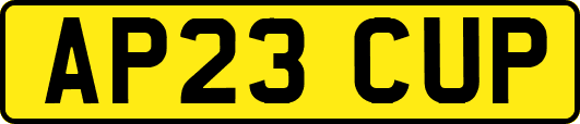 AP23CUP