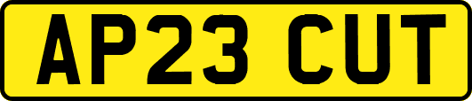 AP23CUT