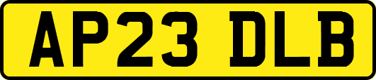 AP23DLB
