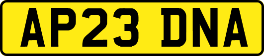 AP23DNA