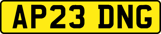 AP23DNG