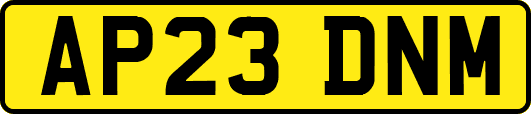 AP23DNM