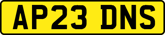 AP23DNS