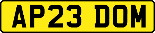 AP23DOM
