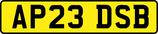 AP23DSB