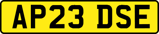 AP23DSE