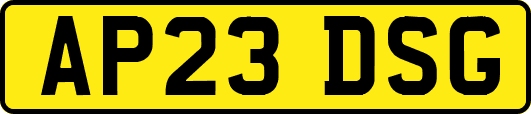 AP23DSG