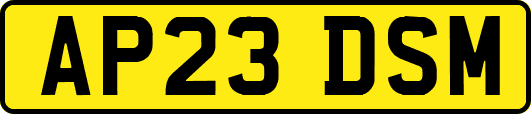 AP23DSM