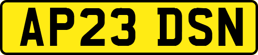 AP23DSN