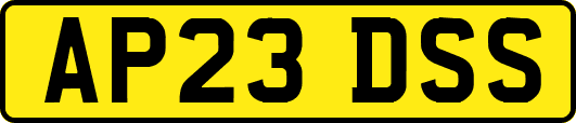 AP23DSS