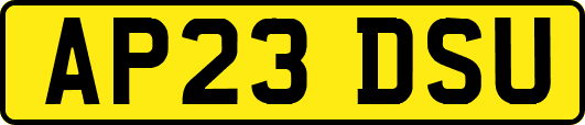 AP23DSU