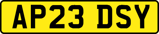 AP23DSY