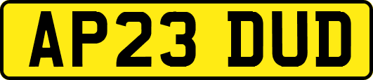 AP23DUD