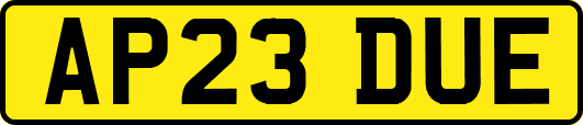 AP23DUE