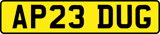 AP23DUG
