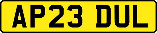 AP23DUL