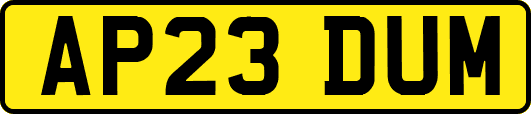 AP23DUM