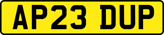 AP23DUP