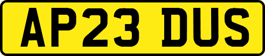 AP23DUS