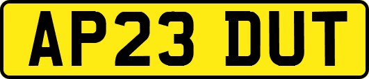 AP23DUT