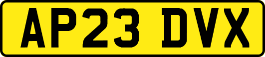 AP23DVX