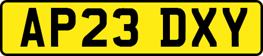 AP23DXY