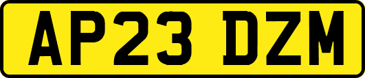 AP23DZM