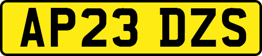AP23DZS