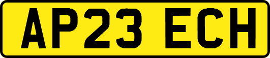 AP23ECH