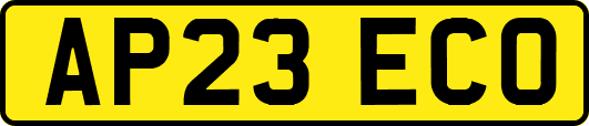 AP23ECO