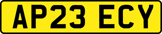 AP23ECY